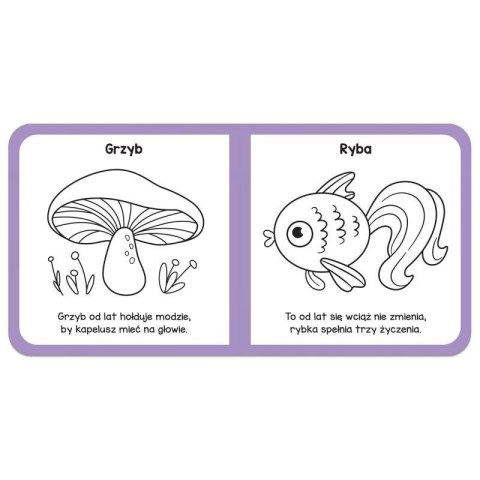 Książka dla dzieci Mały miś to lubi! Zabawy logopedyczne. Aksjomat