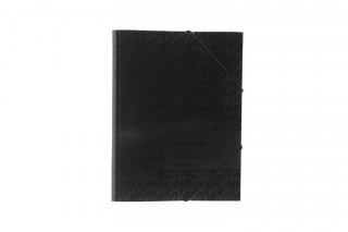 Teczka plastikowa na gumkę Teczka A4 box A4 Berlingo (299551)