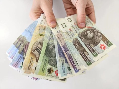 Zabawka edukacyjna pieniądze Multigra