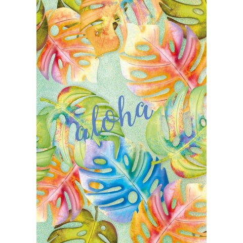 Brulion A6 60k. krata Kreska