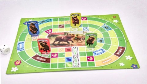 Gra planszowa Kapibary na Start Alexander