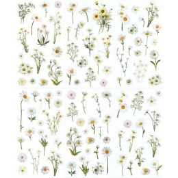 Naklejka (nalepka) Craft-Fun Series Stokrotki foliowe Titanum (25MD004)