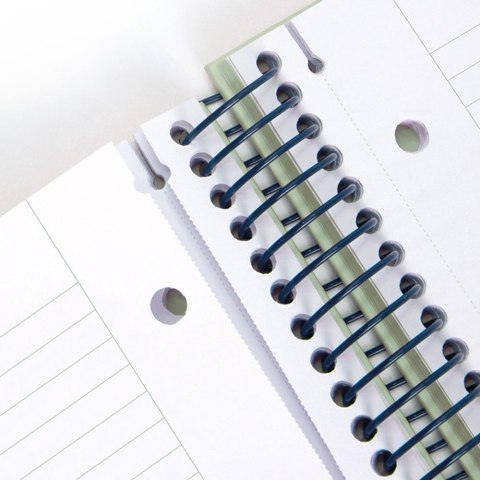 Kołozeszyt (kołonotatnik) A4 1918 beżowy 80k. 95g linia Milan (57142E80BG)