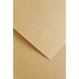 Papier ozdobny (wizytówkowy) wood beżowy A4 beżowy 220g Galeria Papieru (205613)