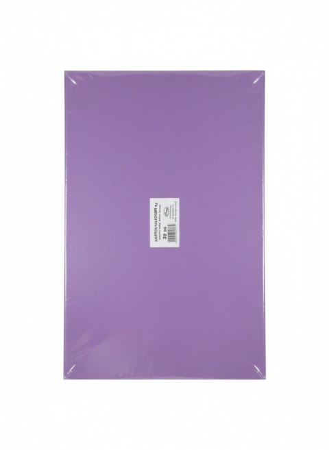 Brystol A3 fioletowy ciemny 160g 20k Protos