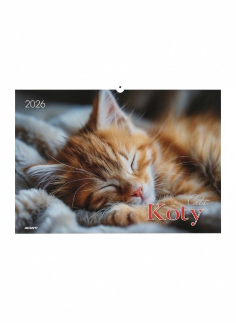 Kalendarz ścienny KOTY wieloplanszowy 285mm x 410mm Avanti (KA-1)