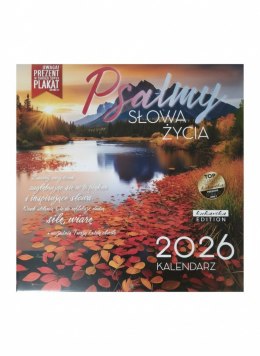 Kalendarz ścienny classic Q Plasmy Kukartka