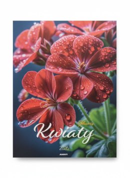 Kalendarz ścienny wieloplanszowy 230mm x 320mm Avanti (KSM-6)