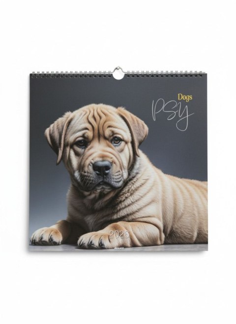 Kalendarz ścienny wieloplanszowy 330mm x 330mm Avanti (KD-20)