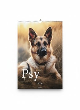 Kalendarz ścienny wieloplanszowy paskowy 285mm x 410mm Avanti (A3-14)