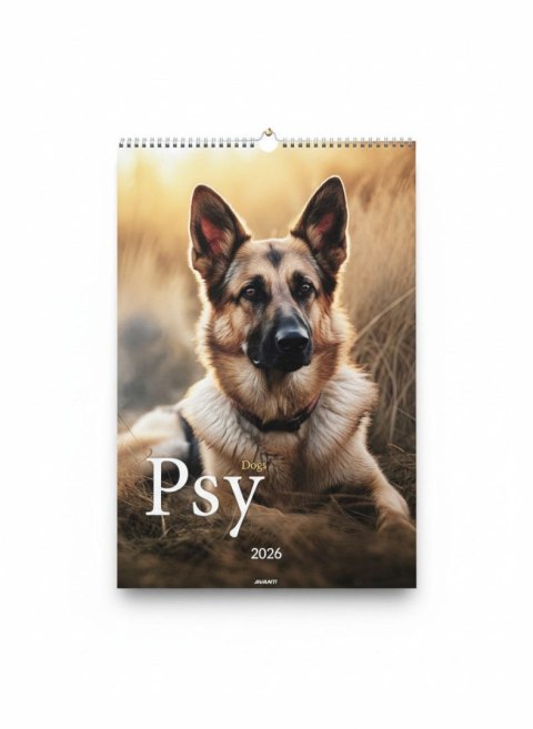 Kalendarz ścienny wieloplanszowy paskowy 285mm x 410mm Avanti (A3-14)