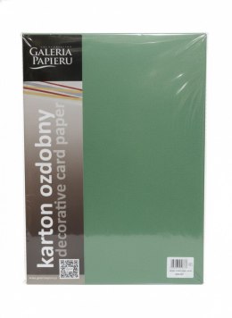 Papier ozdobny (wizytówkowy) Earth A4 Zielony 220g Galeria Papieru (204707)