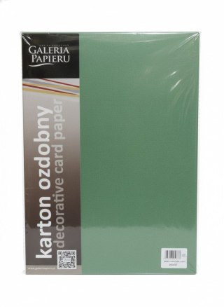 Papier ozdobny (wizytówkowy) A4 Earth Zielony 220g Galeria Papieru (204707)