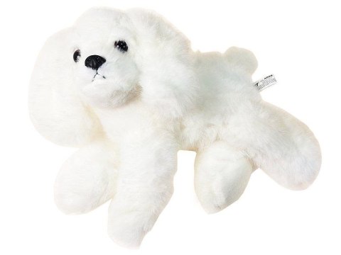 Pluszak pies biały [mm:] 250 Adar (621770)