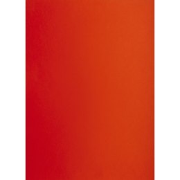 Brystol CZERONY B2 Czerwony 225g 25k Creatinio (400150331)