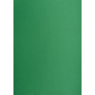 Brystol zielony ciemny B2 zielony 225g 25k Oxford (400150339)