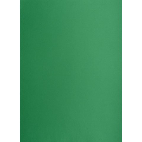 Brystol zielony ciemny B2 zielony 225g 25k Creatinio (400150339)