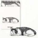 Blok artystyczny szkicownik kot A6 120g 60k Narcissus