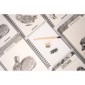 Blok artystyczny szkicownik królik B5 120g 60k Narcissus