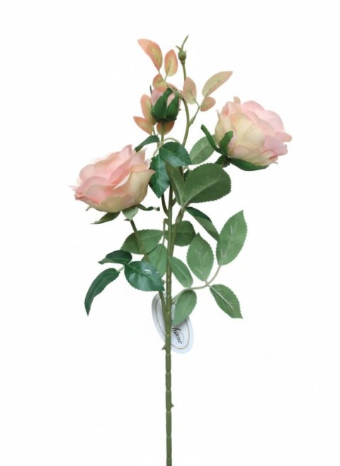 Kwiaty róża 3 szt. 67cm brzoskwiniowa Home And Garden (6720)