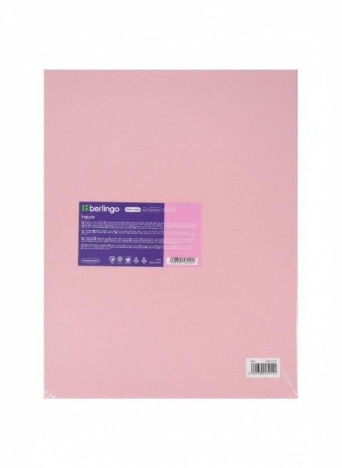 Teczka ofertowa A4 kolor: mix 20 kieszeni Berlingo (352615)