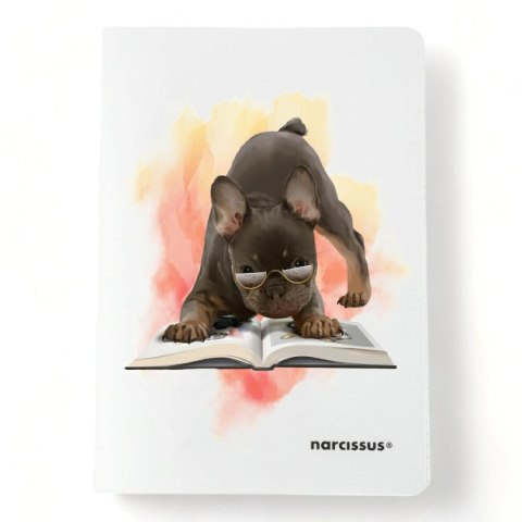 Zeszyt PP A5 32k. 80g KRATKA Narcissus