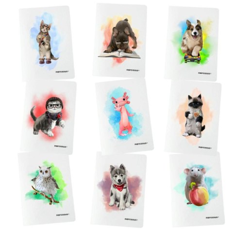 Zeszyt PP A5 60k. 80g krata Narcissus