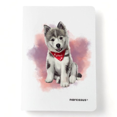 Zeszyt PP A5 60k. 80g krata Narcissus