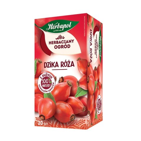 Herbata Herbaciany Ogród owocowo-ziołowa dzika róża 20 saszetek Herbapol