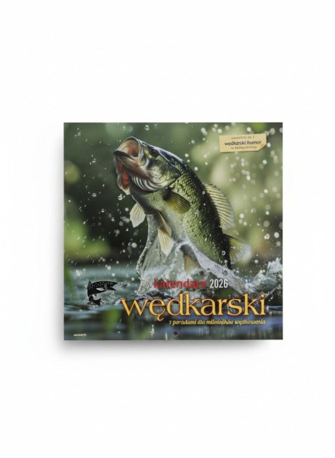 Kalendarz ścienny wieloplanszowy 300mm x 600mm Avanti (5901769620971)