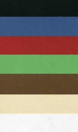 Karton do bindowania Delta skóropodobny A4 brązowy 250g Argo (407081)