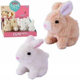 Pluszak interaktywny króliczek na baterie Bemag (65586)