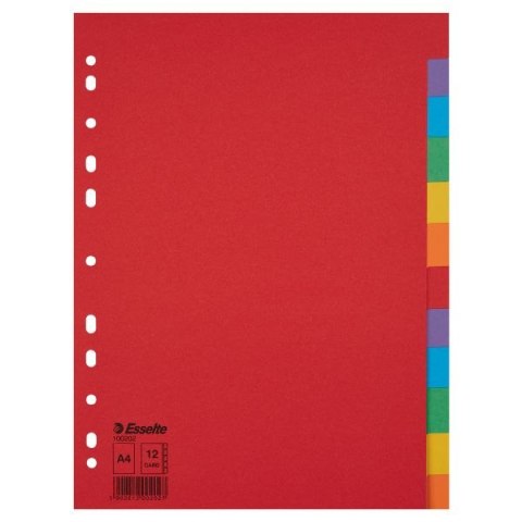 Przekładka czysta A4 mix kolorów 160g 12k Esselte (100202)