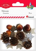 Zestaw dekoracyjny Craft-Fun Series szyszki, żołędzie, gwiazdki Titanum (23BR1204-61)
