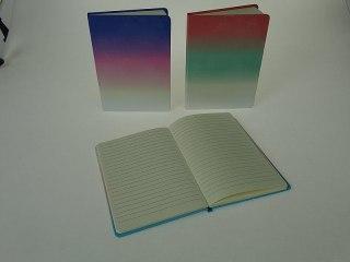 Notes (notatnik) A5 tęczowy linia Adar (576100)