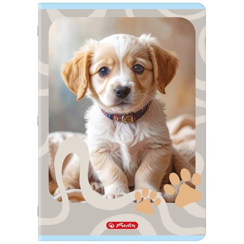 Zeszyt A4 ANIMALS 32k. 70g linia podwójna kolorowa Herlitz (400206431)