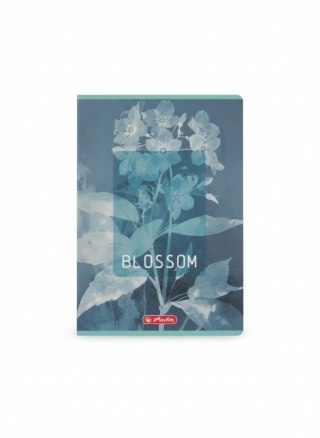 Zeszyt B5 Blossom 80k. 70g kratka Herlitz (400206169)