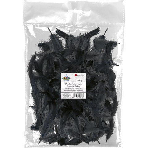 Piórka Craft-Fun Series czarne Titanum
