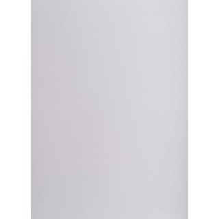 Brystol A1 liliowy 160g 25k [mm:] 610x860 TOP-2000 (400149562)