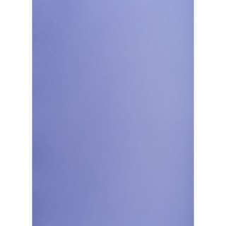 Brystol purpurowy A1 purpurowy 160g [mm:] 610x860 TOP-2000 (400149563)