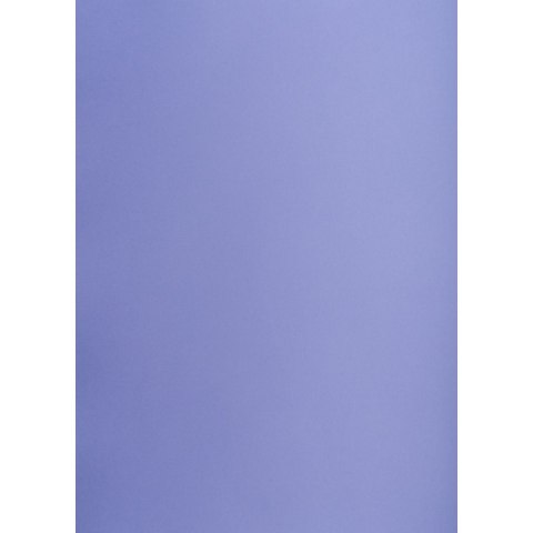 Brystol purpurowy A1 purpurowy 160g [mm:] 610x860 TOP-2000 (400149563)