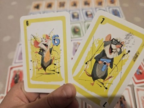 Karty Viral 67 Alexander (3282) 55 sztuk