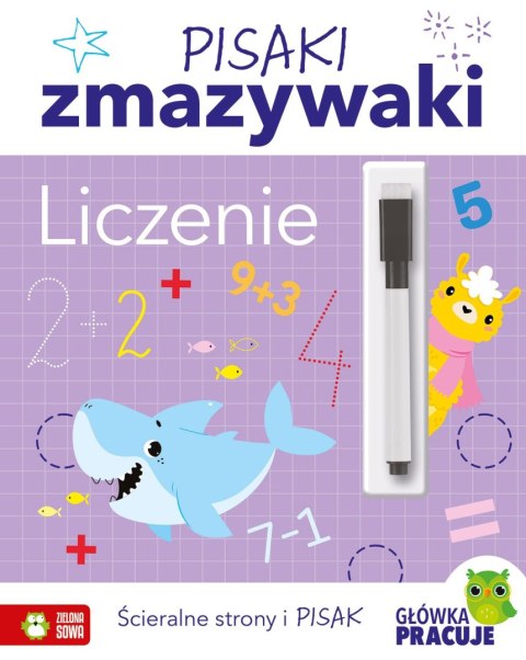 Książka dla dzieci Pisaki zmazywaki. Szlaczki Zielona Sowa