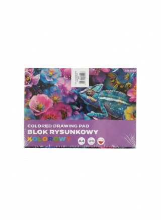 Blok rysunkowy A4 mix 20k Starpak (587749)