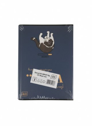 Zeszyt A5 BOYS mix 60k. 70g krata Interdruk