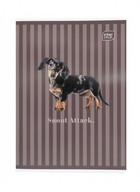 Zeszyt A5 PUPPY SIGN 60k. 70g krata Interdruk (ZE60#PS)