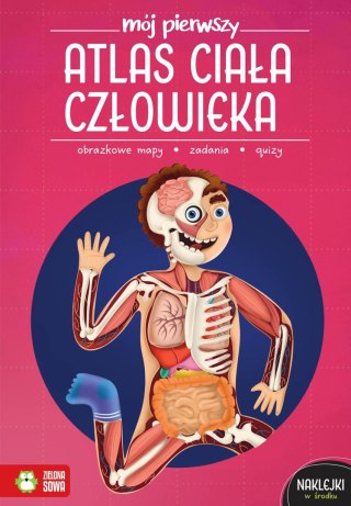 Książka dla dzieci Mój pierwszy atlas ciała człowieka Zielona Sowa