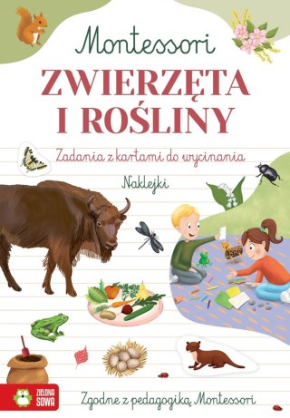 Książka dla dzieci Montessori. Zwierzęta i rośliny Zielona Sowa