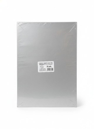 Papier kolorowy A4 srebrny 20k. 110g Protos