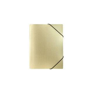 Teczka plastikowa na gumkę STARDUST GOLD A4 złoty Biurfol (TGSD-A4-01)